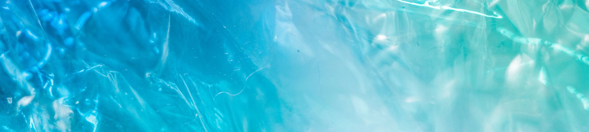 Partecipazione di TeRABIT a Trieste Next 2025