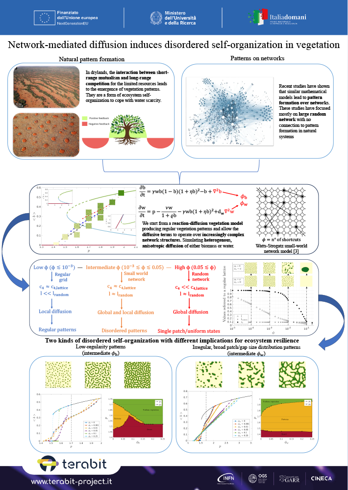 Filippini - Network mediated diffusion induces disordered self organization in vegetation