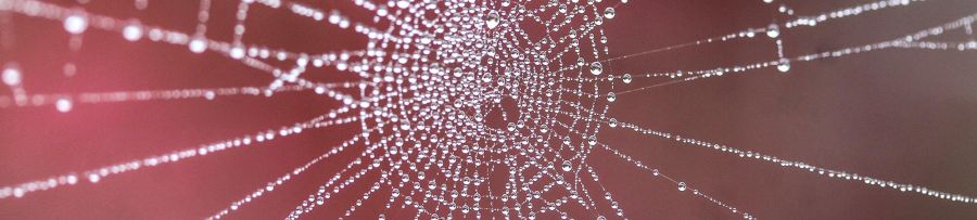 Opportunit&agrave; con TeRABIT